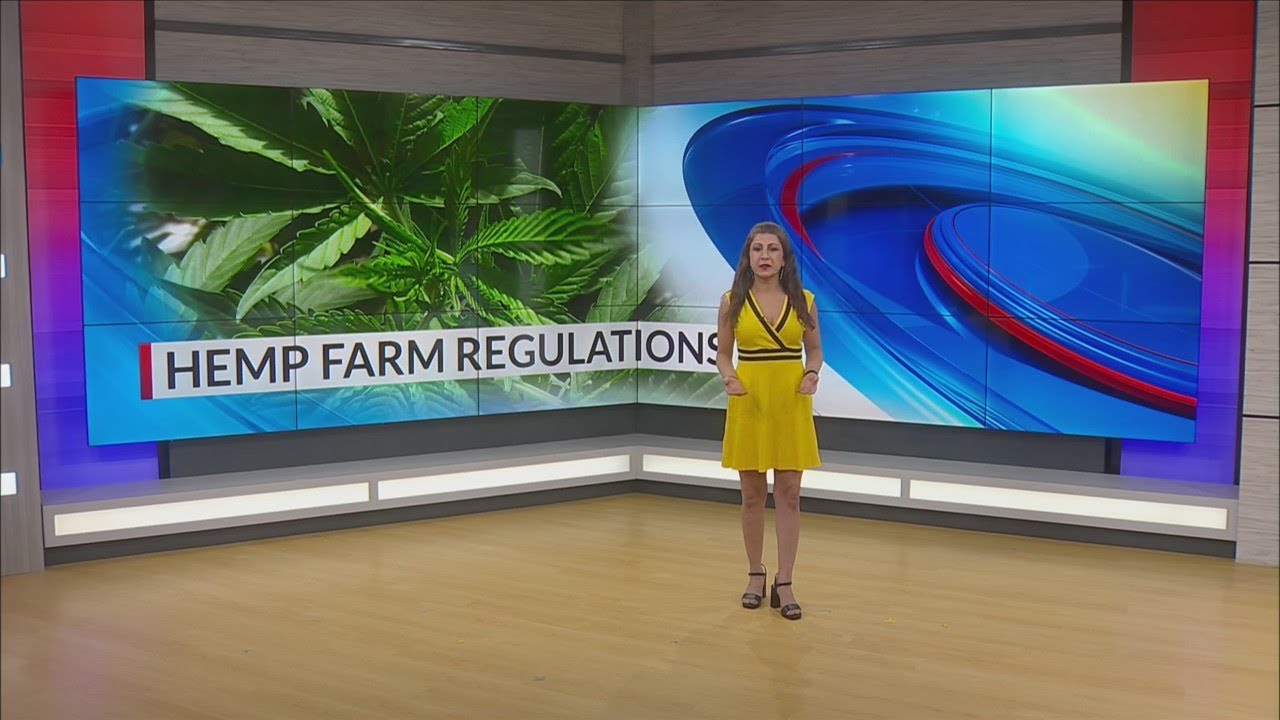 Family hemp farm pushes for regulation, against proposed restrictions