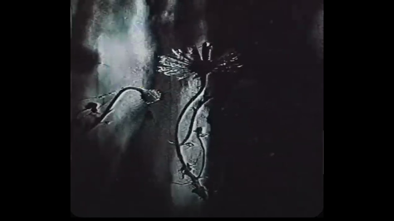 WHAT WE COULD HAVE BEEN 