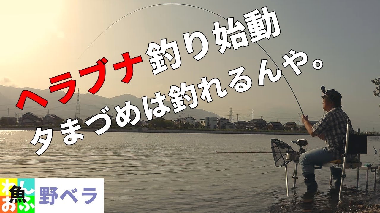 初夏のような陽気にヘラブナ釣り。勝負は夕まづめからやった。【ヘラブナ釣り】初回だから１枚は釣りたいぞ！ Japanese herabuna fishing spring 2022