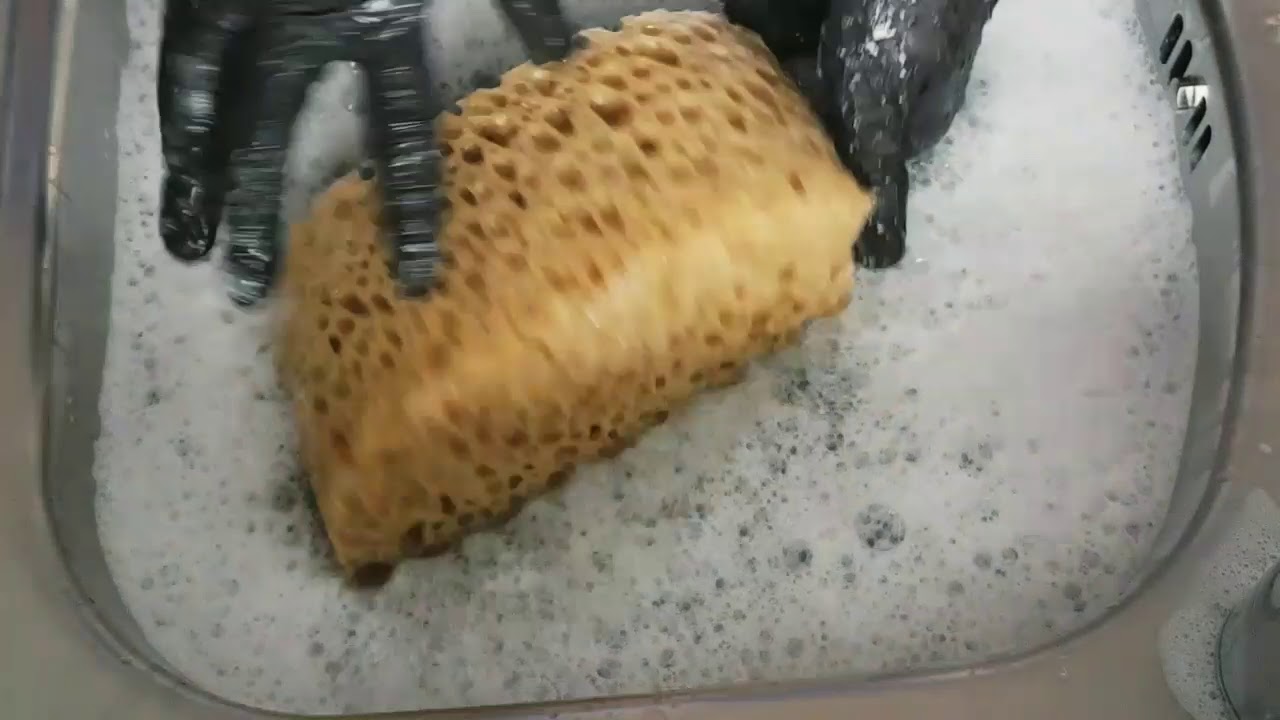 Fizzy Sponge with Cream Cleaner - ASMR Sponge Addiction