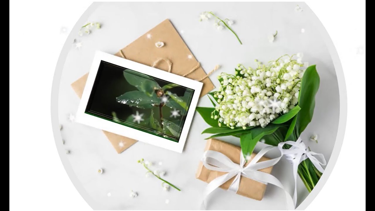 تكريم حافظات القرآن- نبض الجنان