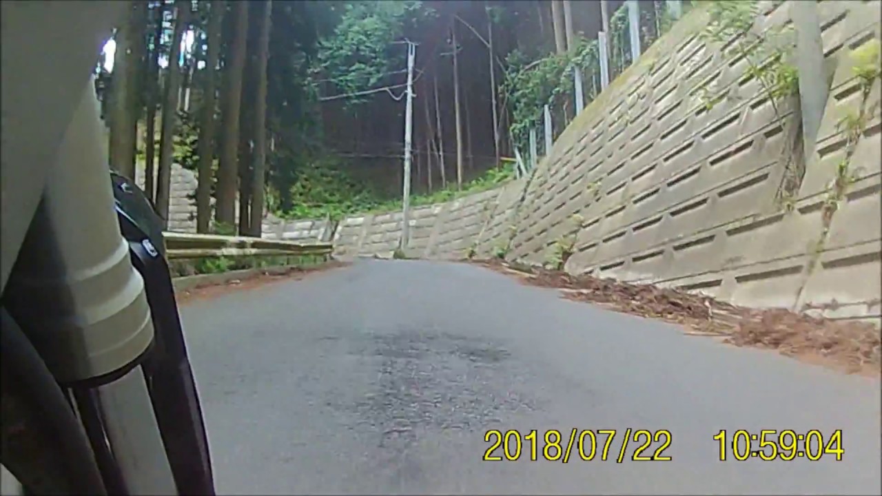 天目指峠（県道395）CB250R（MC52)　倍速動画
