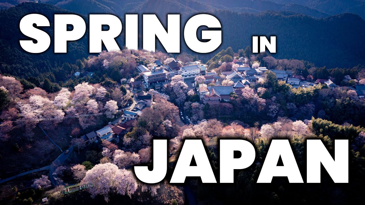 Japan's Sakura OBSESSION | Spring Cherry Blossom Season