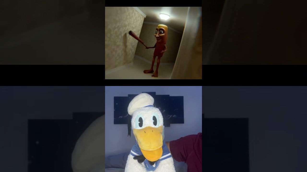 Collab With @KanTaroJP Donald Ducc Is Scared Of Tung Tung Tung Sahur