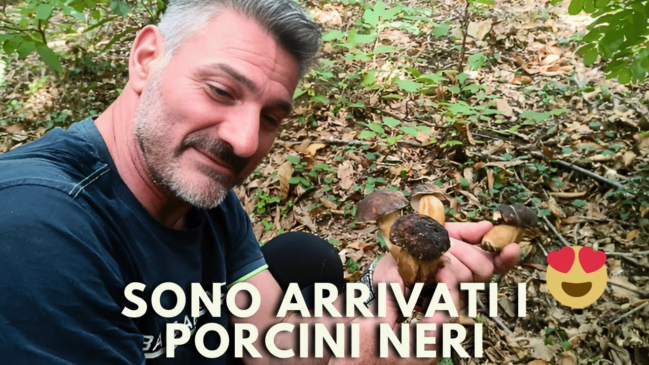 Sono Arrivati i Porcini Neri, l'Autunno arriva a grandi passi 😍