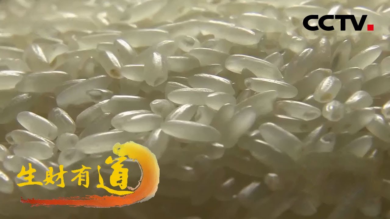 咱们家乡有特产——黑龙江五常：稻花香里说丰年 「生财有道」 20200831 | CCTV财经
