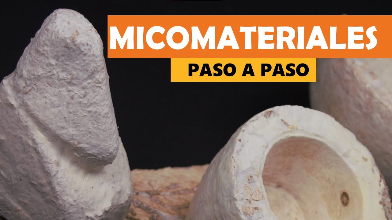 Biofabricación con micelio del hongo Ganoderma | Mycomaker