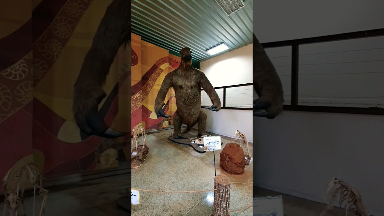 MUSEU DOS DINOSSAUROS, PEIR&Oacute;POLIS MG - BRASIL