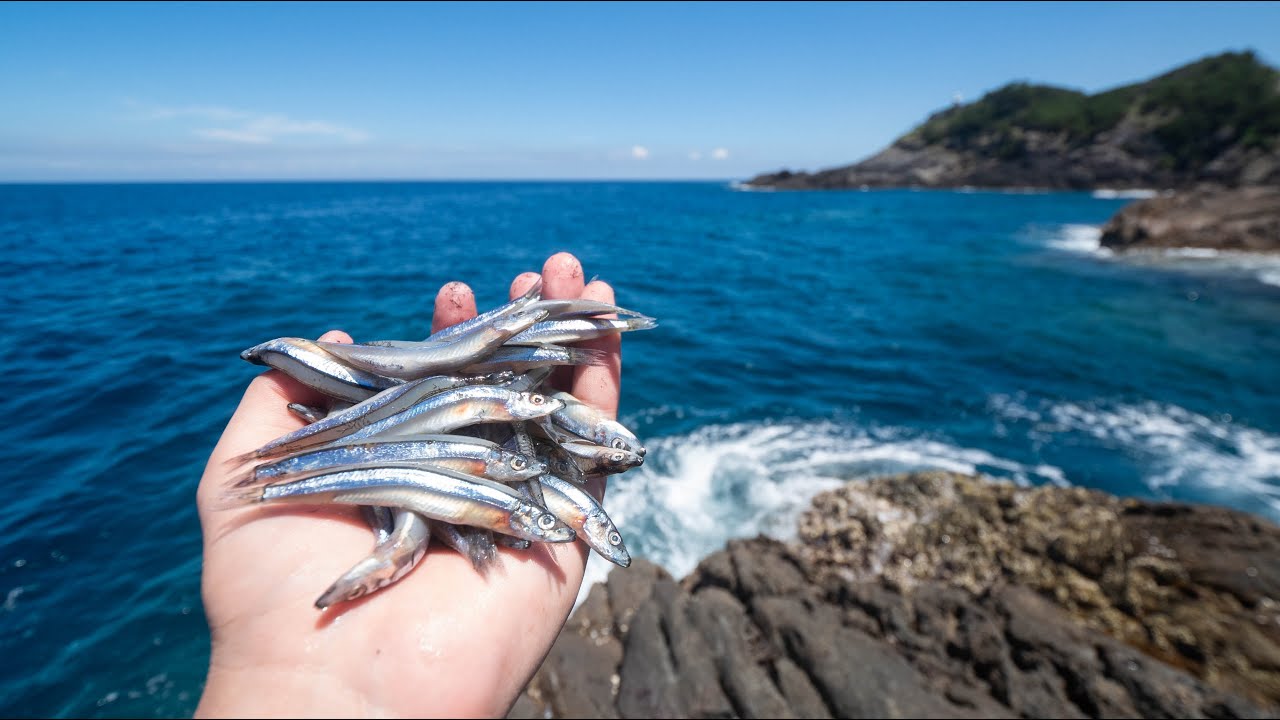 離島の孤磯に潜む未知なる怪物が釣れる必殺キビナゴ流し【屋久島編 #2】
