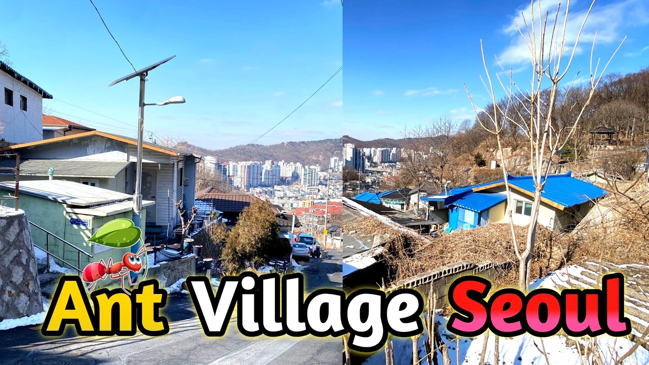 Countryside Village Ambience in Seoul 'Ant Village' | Traveller Kanxa | February 2026