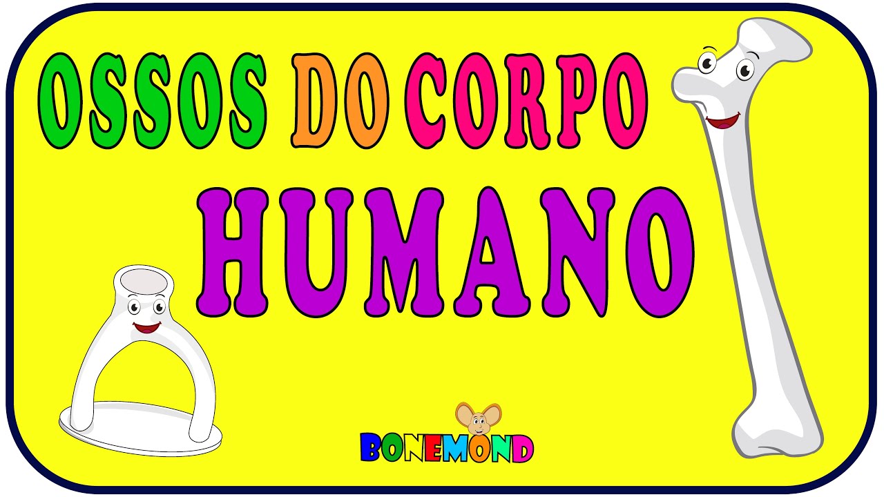 Descobrindo os Segredos dos 206 Ossos do Corpo Humano - Música Educativa para Crianças - Bonemond