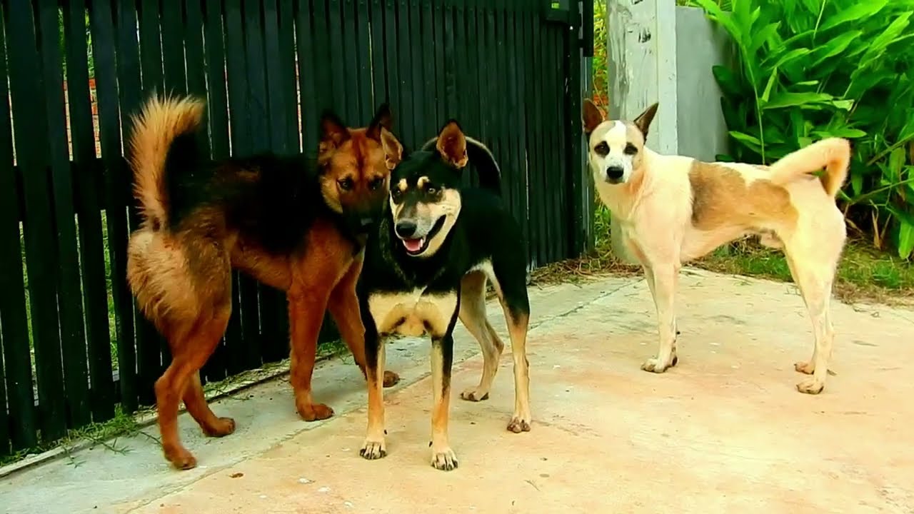 Love sweet life best time many style good lucky toto full time to hugs many style