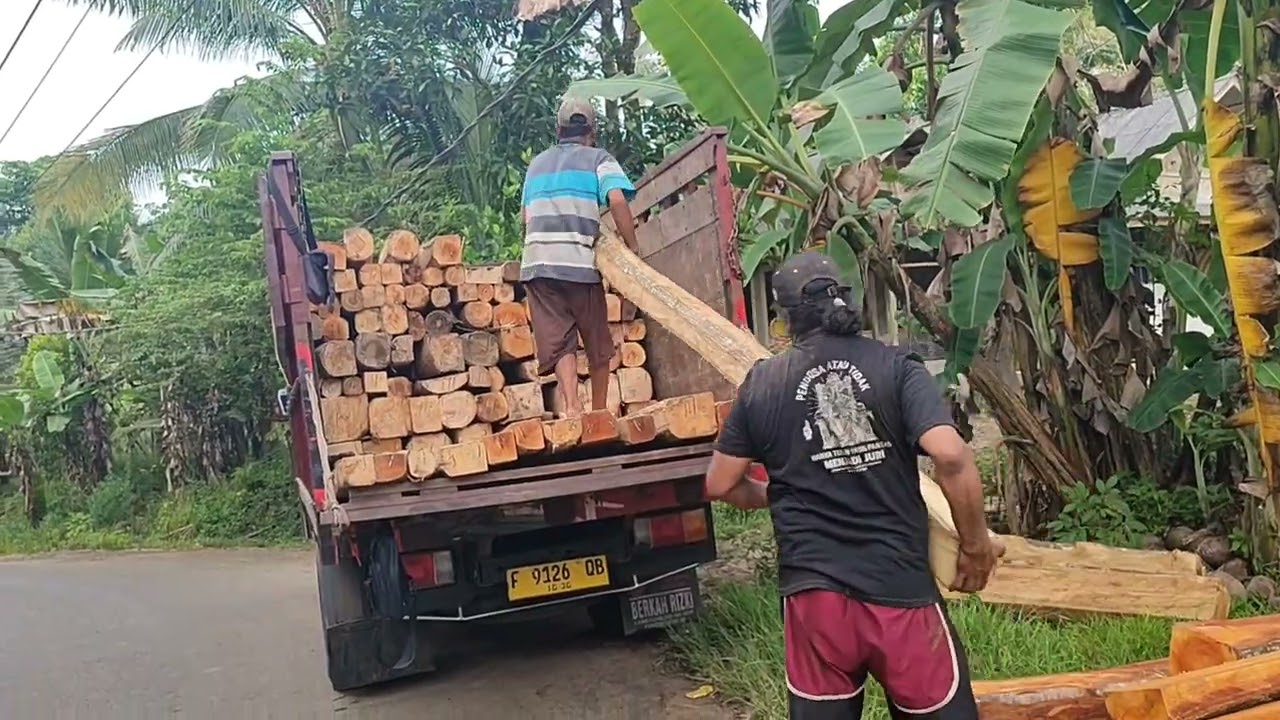 MUAT KAYU ALBASIA