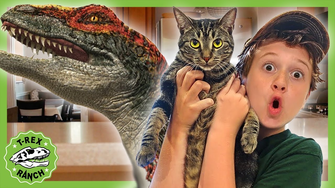 Baby Raptor Dinosaur in the House! Plus More T-Rex Ranch Dinosaur Videos
