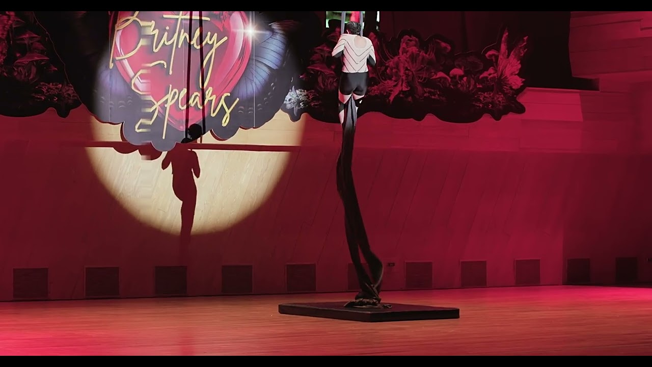 2. Crazy | Danza aérea