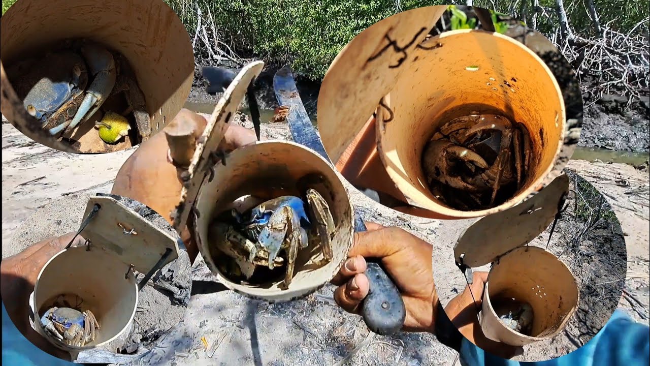 PESCANDO GUAIAMUM EM AREA PRIVADA, SAIU SÓ BITELO AZULÃO
