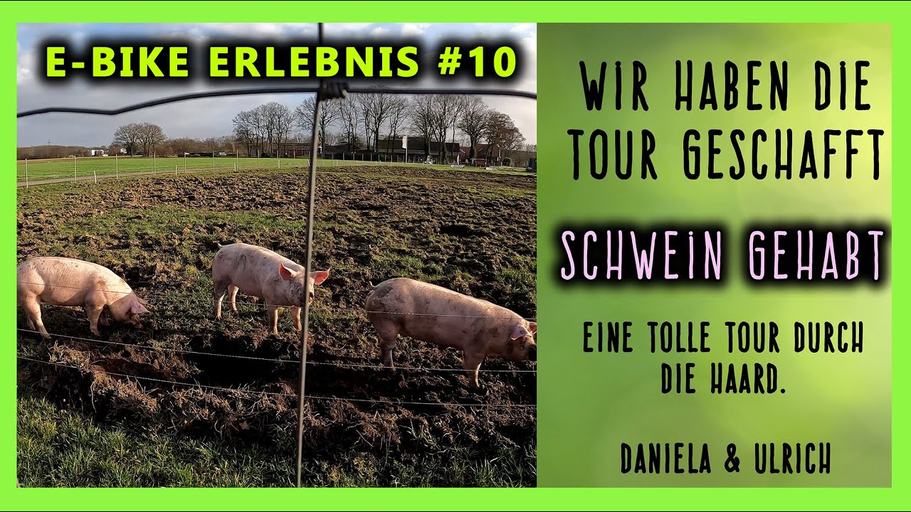 TIERISCH VIEL MATSCH