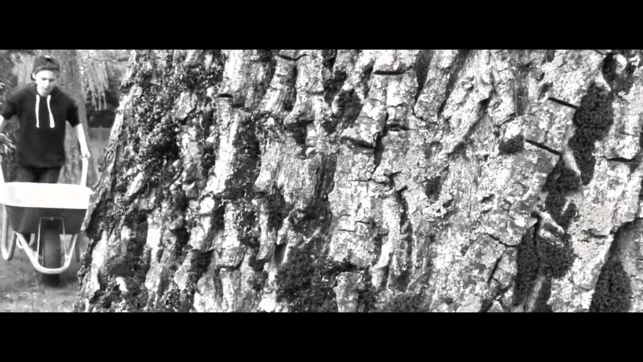 Corbi feat. Cico - De gudden Drot