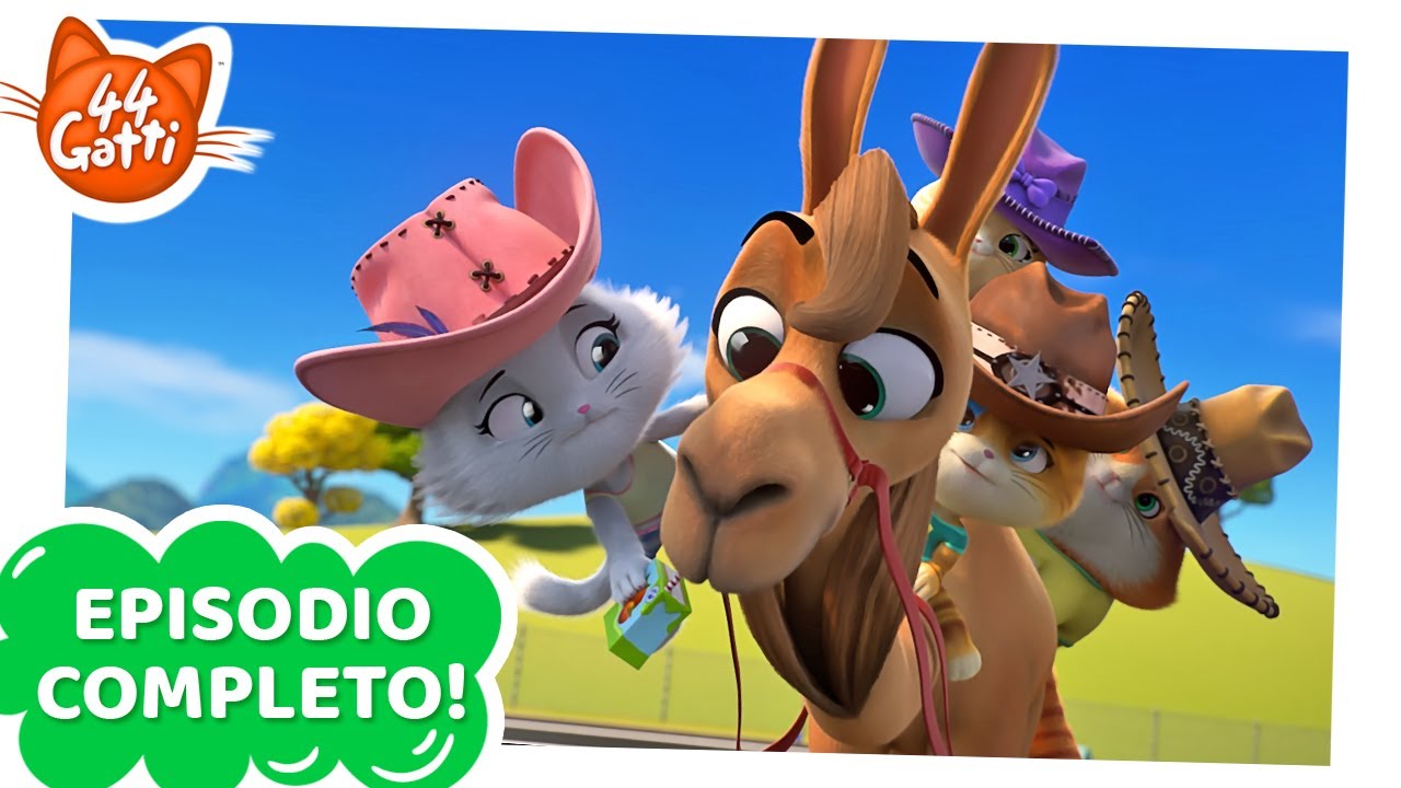 44 Gatti | EPISODIO COMPLETO | Quattro gatti e un cammello | Serie 1 Episodio 20