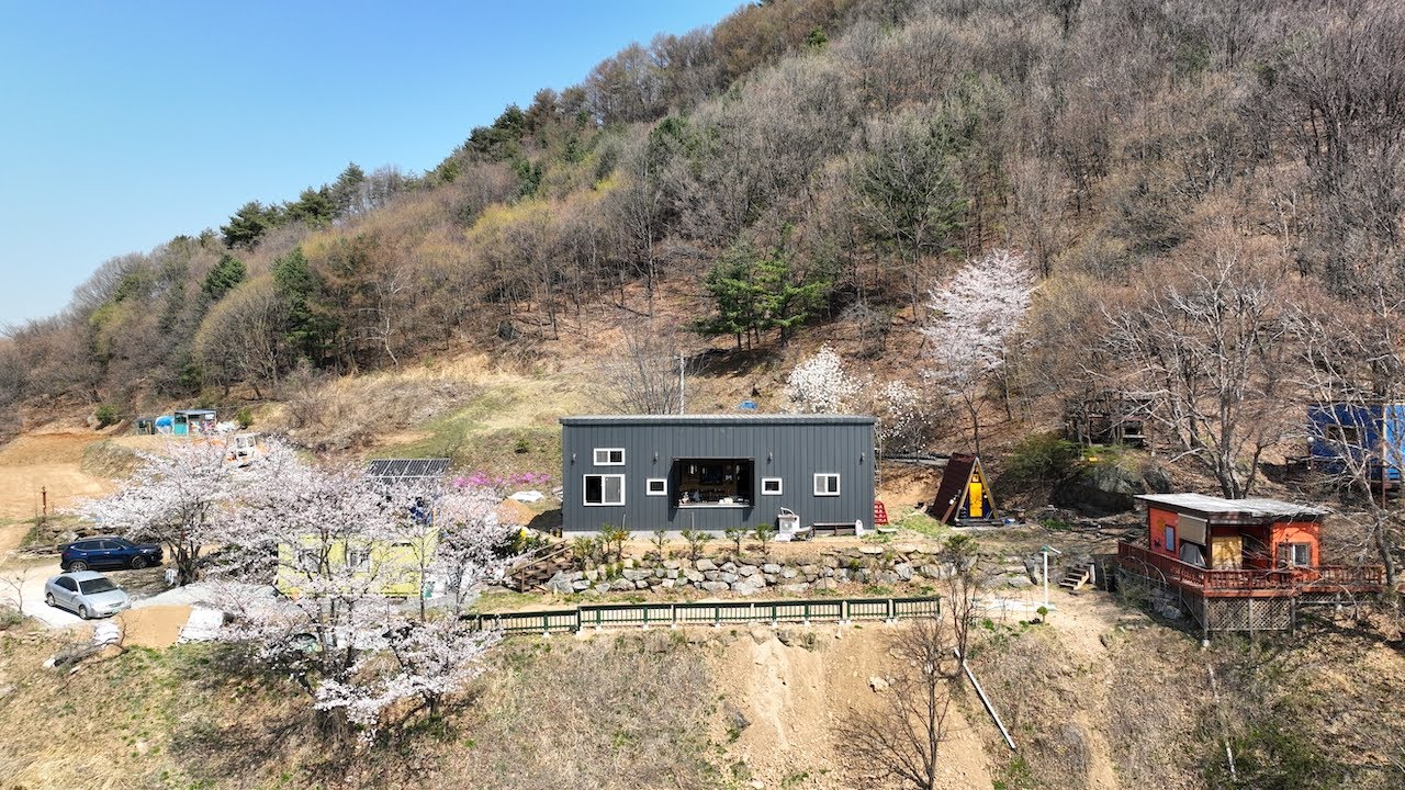 단양 솔고개 학강산 학운산방 봄날 - 20230401