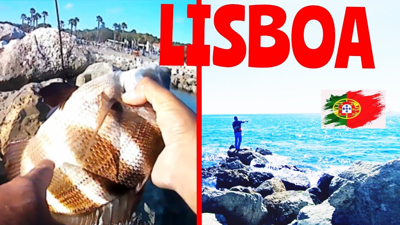 PESCARIA DE PRAIA EM LISBOA FOI DIFERENCIADA! INCRÍVEL este Sargo  Listrado #pesca