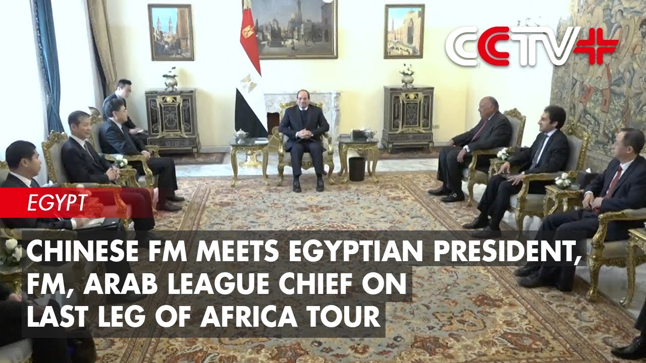 Chinese FM Meets Egyptian President, FM, Arab League Chief on Last Leg of Africa Tour