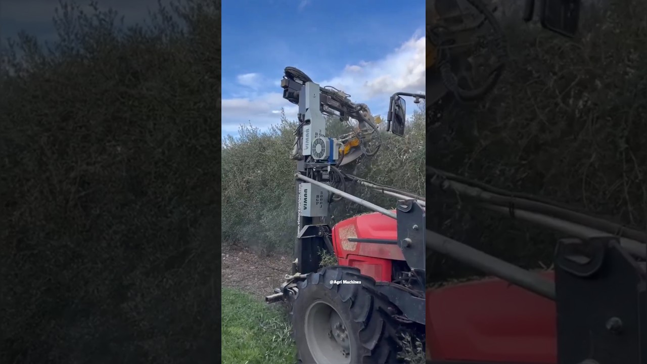 Pruner BGP 3000 J in Action | Pruning Season 2025 in Spain | Made By Vimar Equipos Spain | #pruning