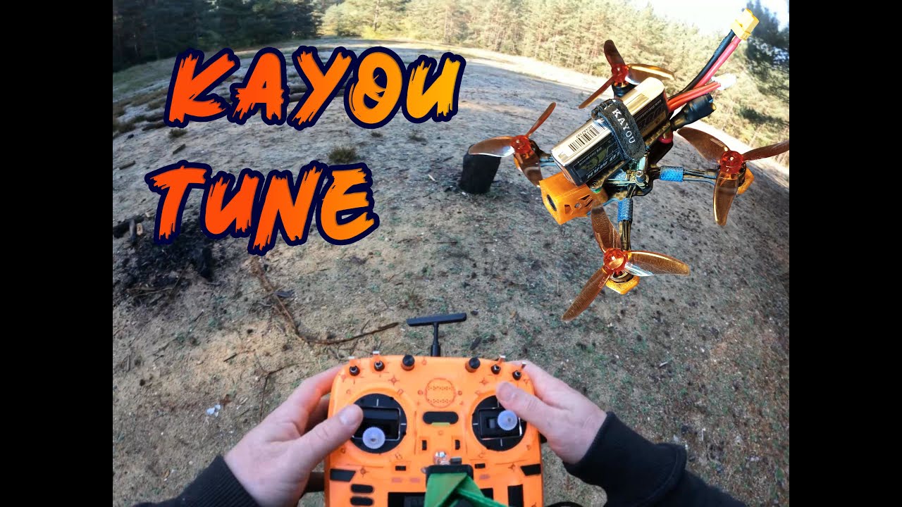 Putting the Kayou Tune on the sub100 Kayou Mini | FPV Freestyle