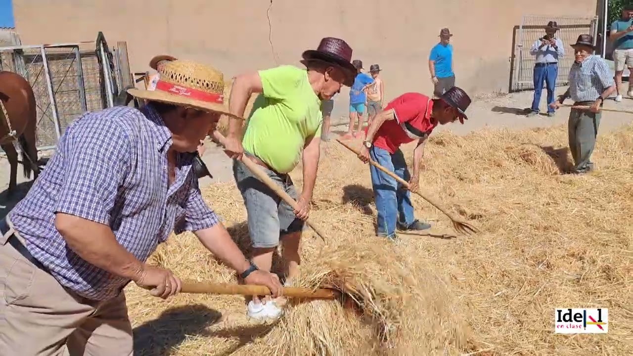 JORNADA DE TRILLA EN LA COLONIA (CUEVAS DEL CAMPO)