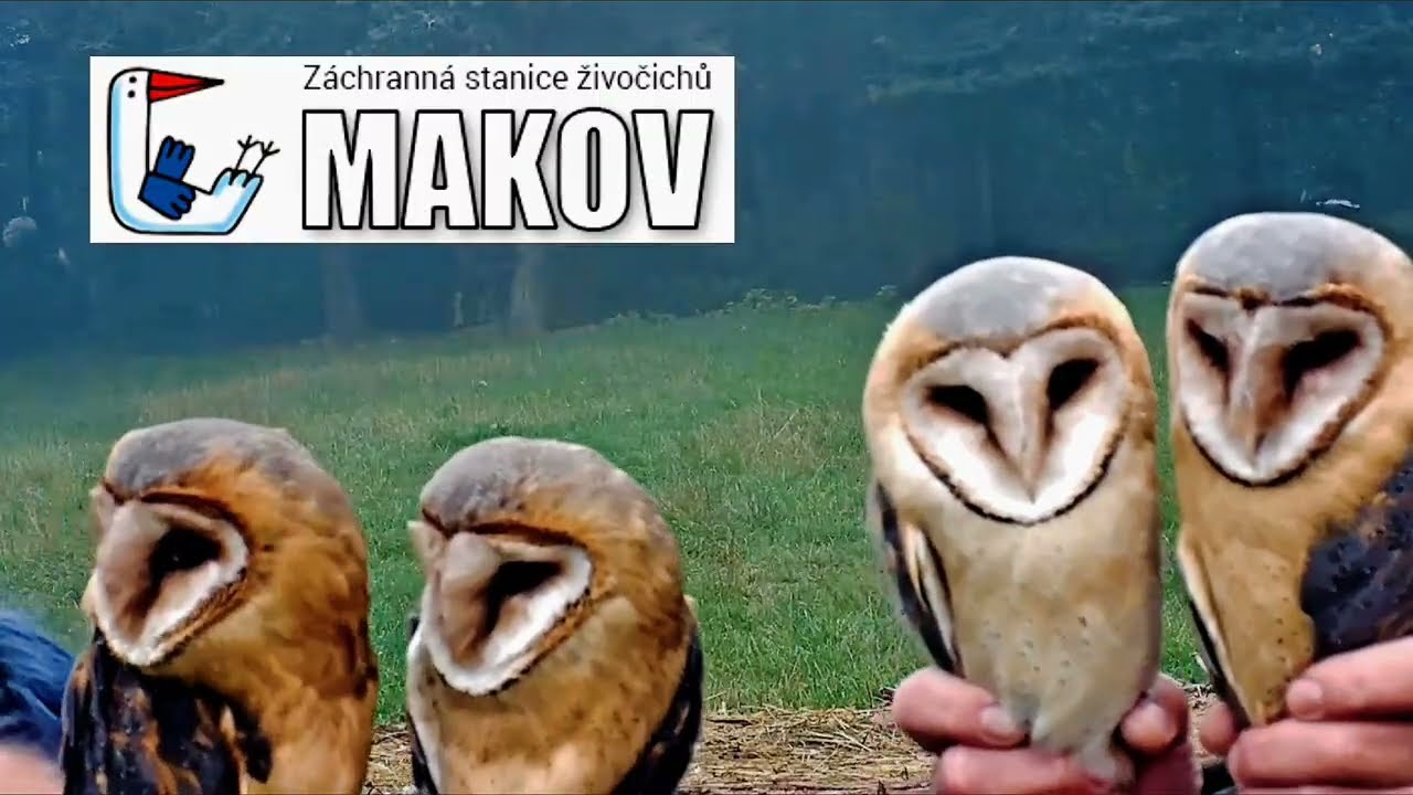 Podzim v Makově 2025 - archiv ! 🌞🙋‍♂️