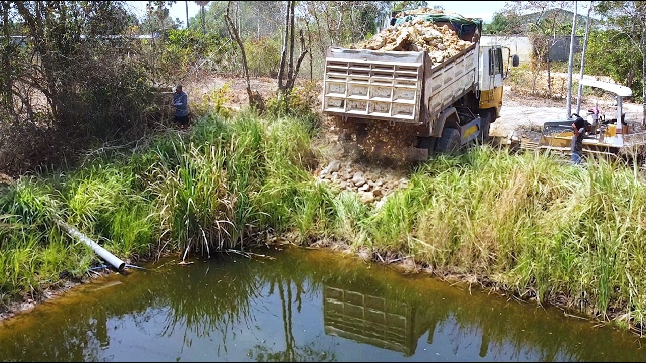 First Start Amazing PROJECT!! Landfill Clearing Tree & Garbage In Deep Pond Use Dozer & 5Ton Truck.