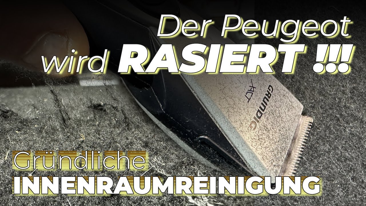 Peugeot wird RASIERT ! | Hundehaare vom Pitbull | Gründliche Innenraum-Reinigung | Polster Reinigung