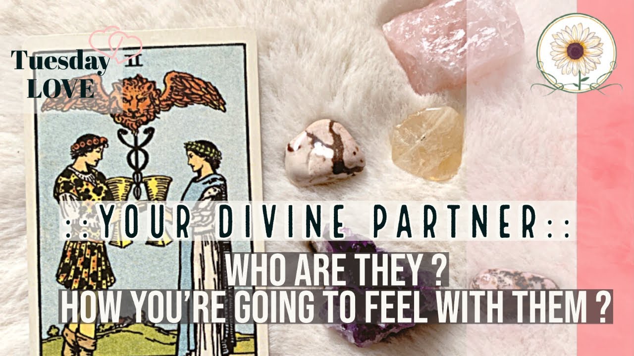 💞 Your DIVINE COUNTERPART 💞 Who Are They?! || Pick a card 🔮