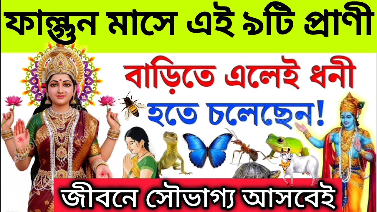 ফাল্গুন মাসে এই ৯টি প্রাণী বাড়িতে এলে ধনী হতে চলেছেন | Falgun Maas mahatva / Vedic Dharma