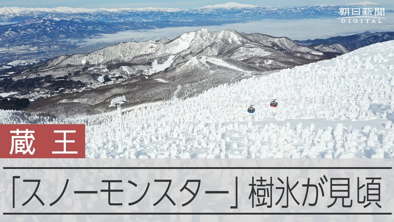 冬の「モンスター」早く大きく成長　山形・蔵王の樹氷が見ごろ