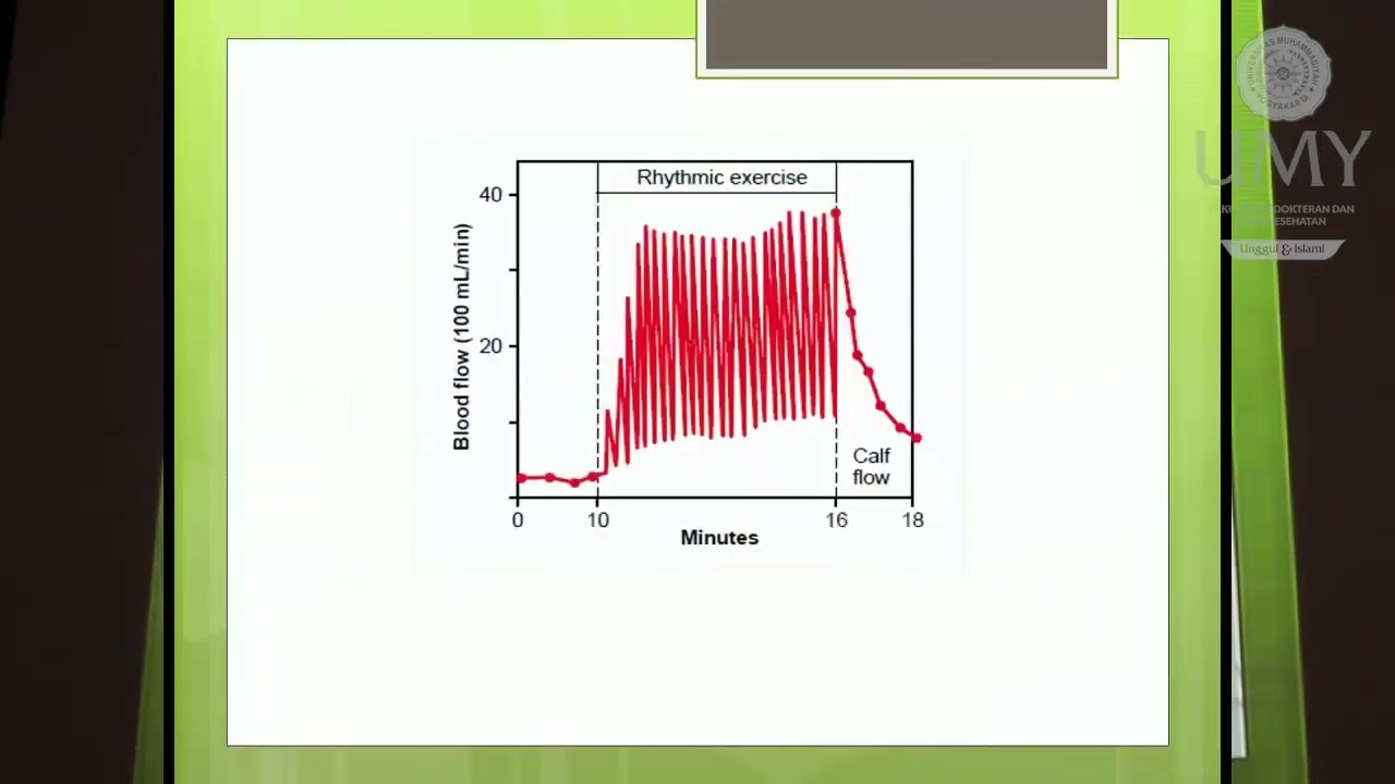 Praktikum Fisiologi Pengukuran VO2 MAX