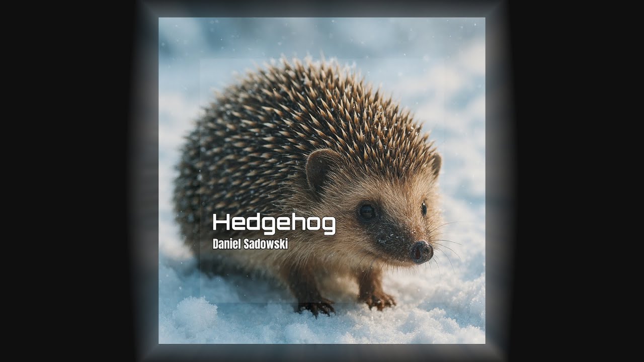 Hedgehog