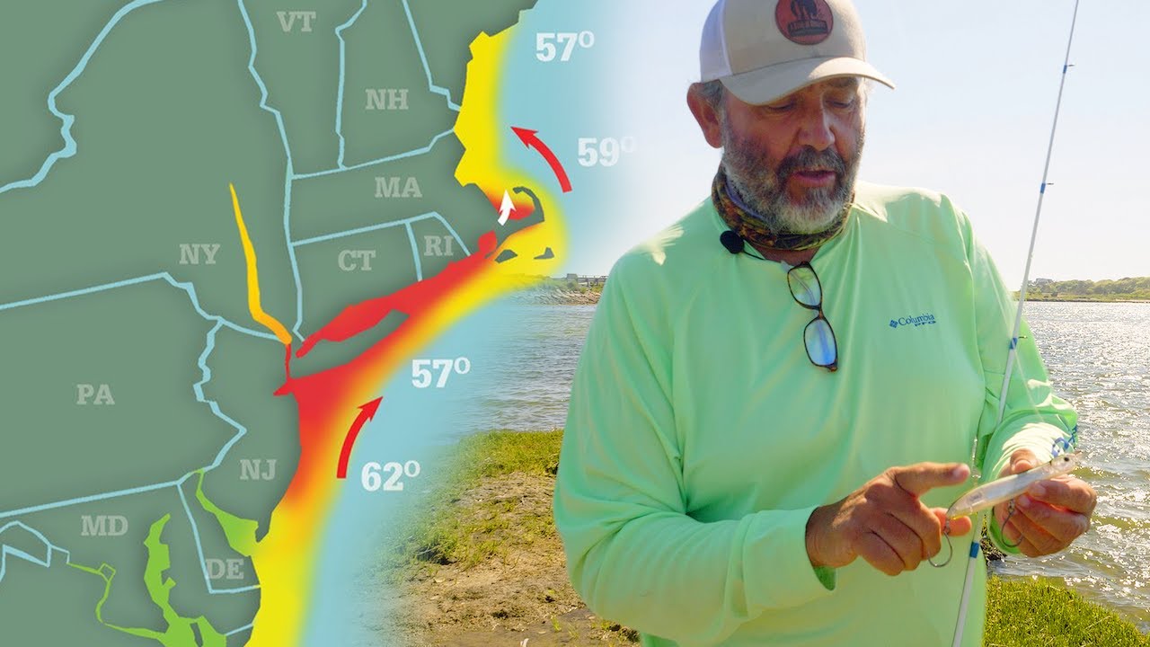 Patrick Sebile and the Most Popular Topwater Plugs in Europe | Striper Season Update Ep.10