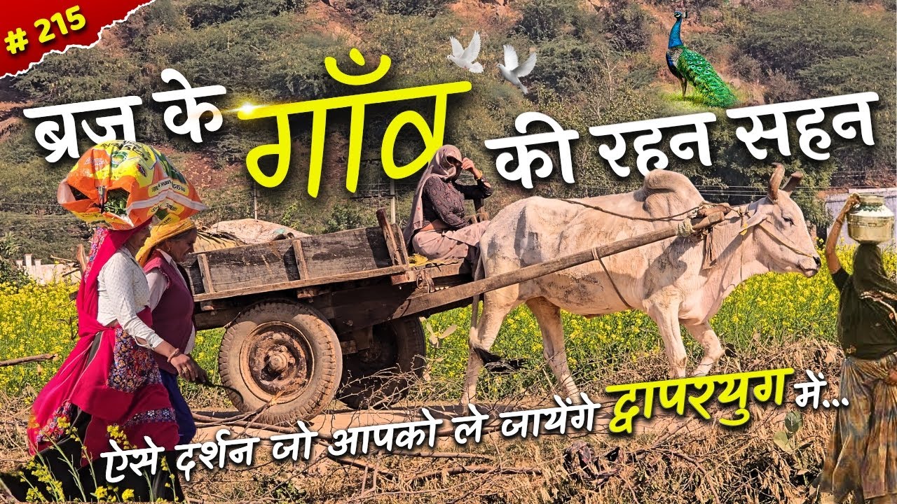 ऐसा रहा होगा द्वापरयुग.. बृज में द्वापरयुग @BrajVihar #barsana #santdarshan #viralvedio