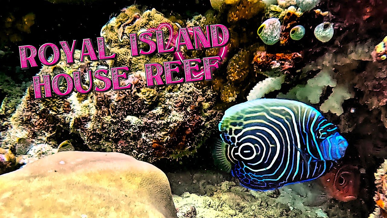 2025 Wonderful Snorkeling at Royal Island Resort & SPA Maldives
