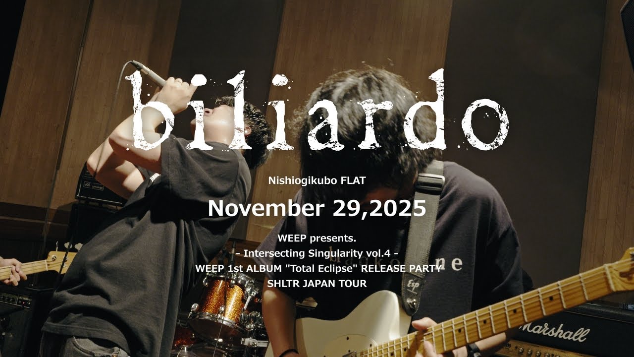 [Agp Studio] biliardo on November 29,2025