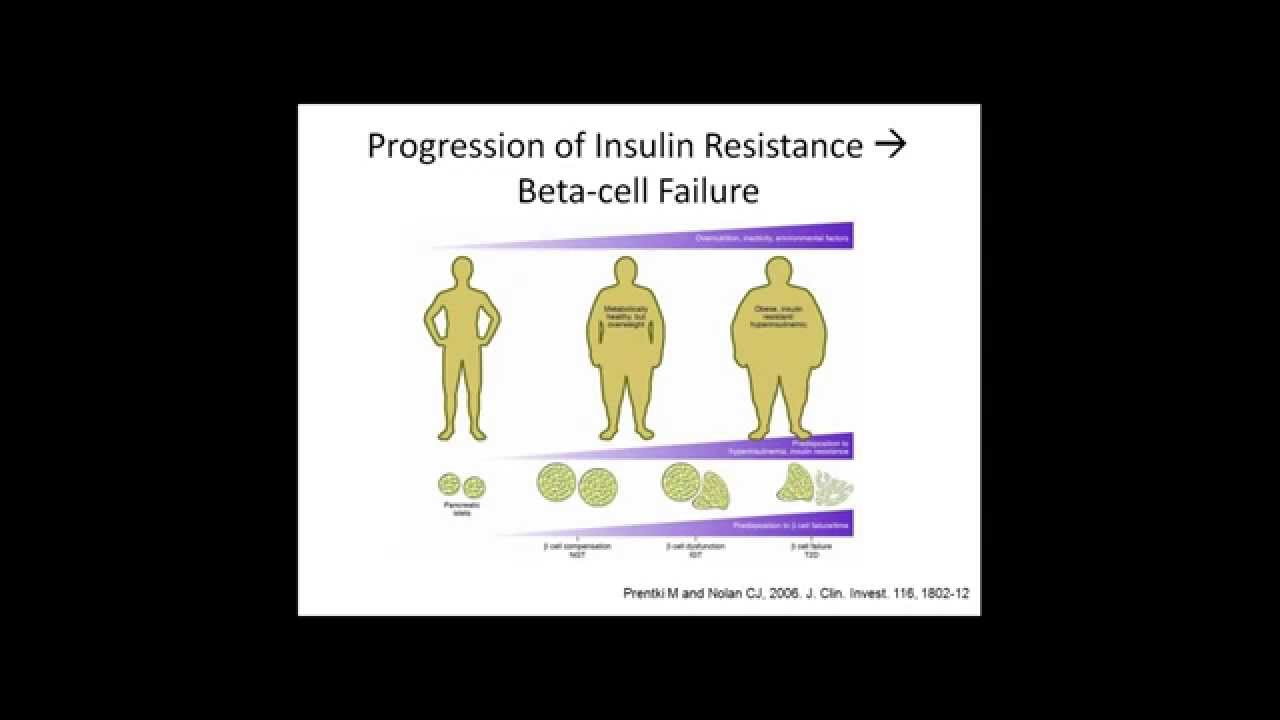 Mechanisms of Insulin Resistance and T2D Reversal with Micaela Karlsen, MSPH