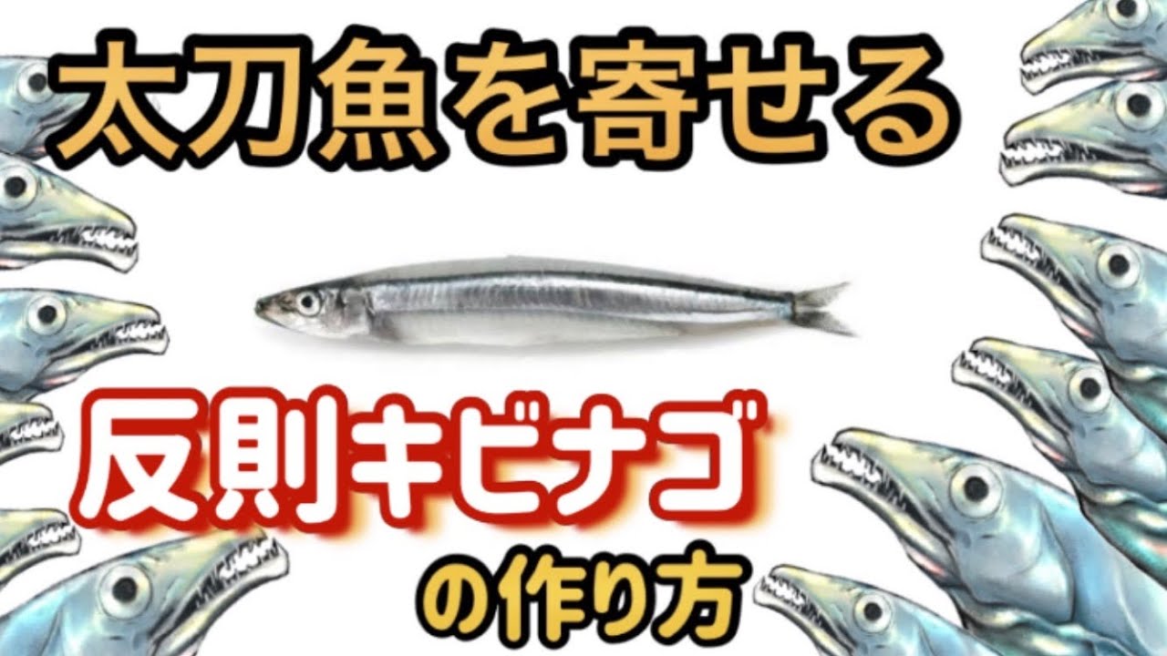 太刀魚を寄せる反則キビナゴ の作り方（身持ち劇的アップで、ノーシンカーと高相性）