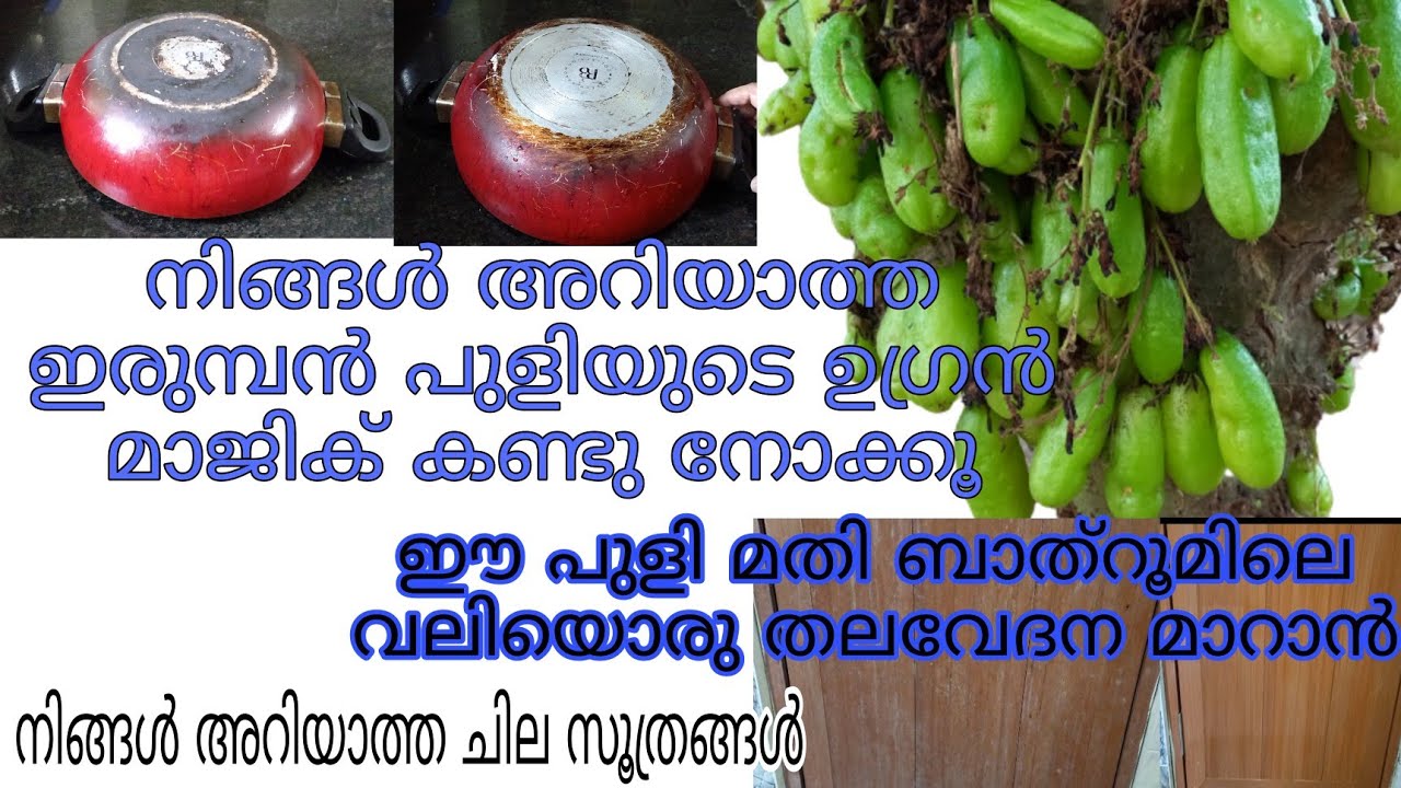 ഇരുമ്പൻപുളി മാത്രം മതി ഇനി വീടു clean ചെയ്യാൻ / Useful Kitchen Tips / Cleaning Tips and Tricks