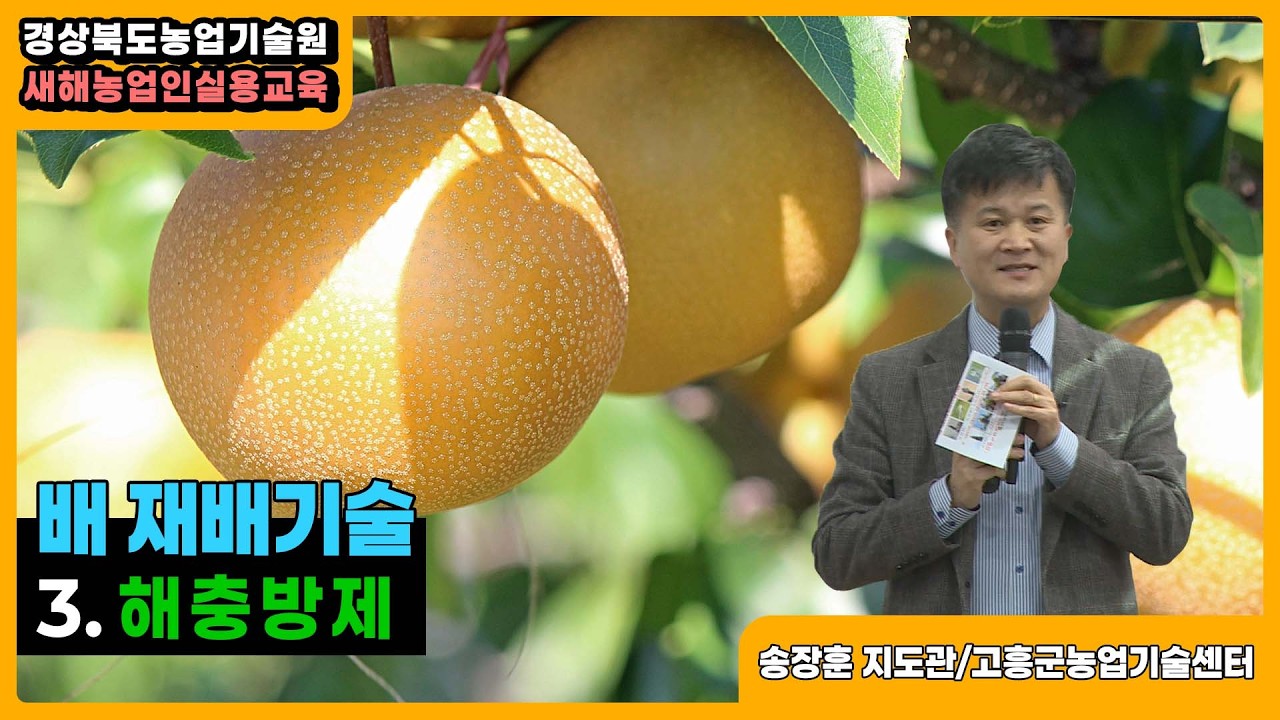 배 재배기술 - 3. 해충방제