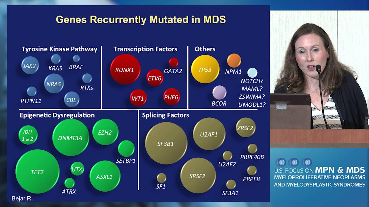 An Approach to Diagnosis and Staging of MDS: From Morphology to Genetics