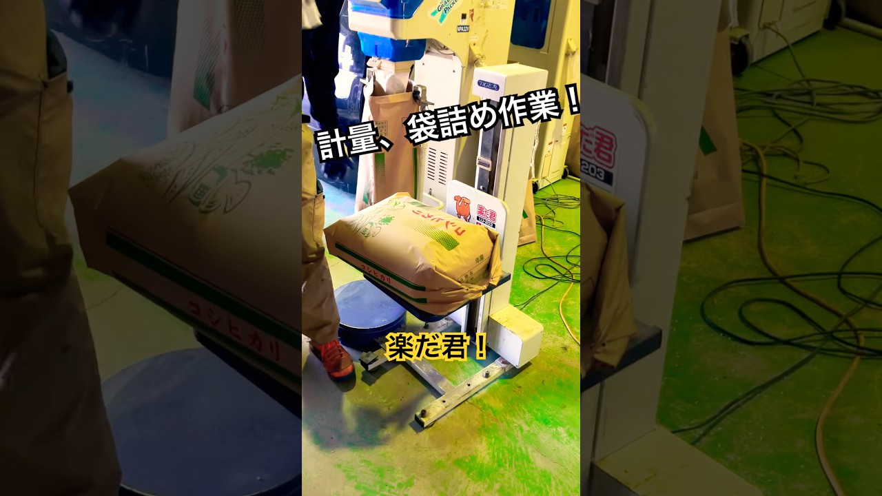 今年のできはいいです！籾摺りも順調！計量器からパレットへ詰むまでの様子ご覧ください！#籾摺り#サタケ#米#稲刈り