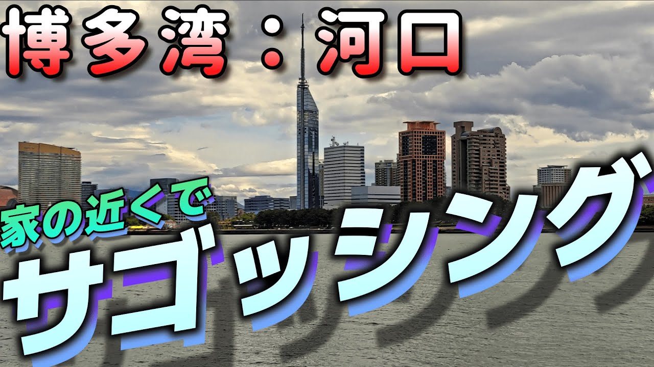 【博多湾・河口・百均釣り具】家の近くでサゴッシング