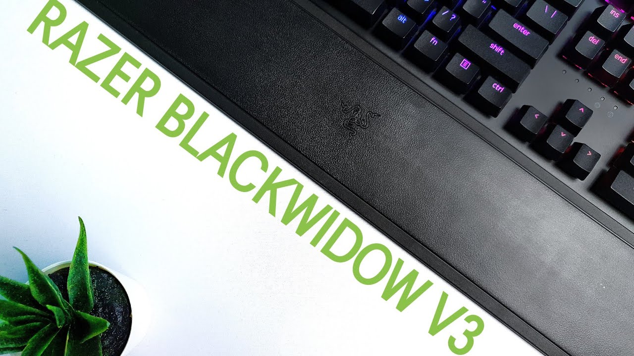 Razer Blackwidow V3 Review - Zu HOHER Preis und zu viele Kompromisse