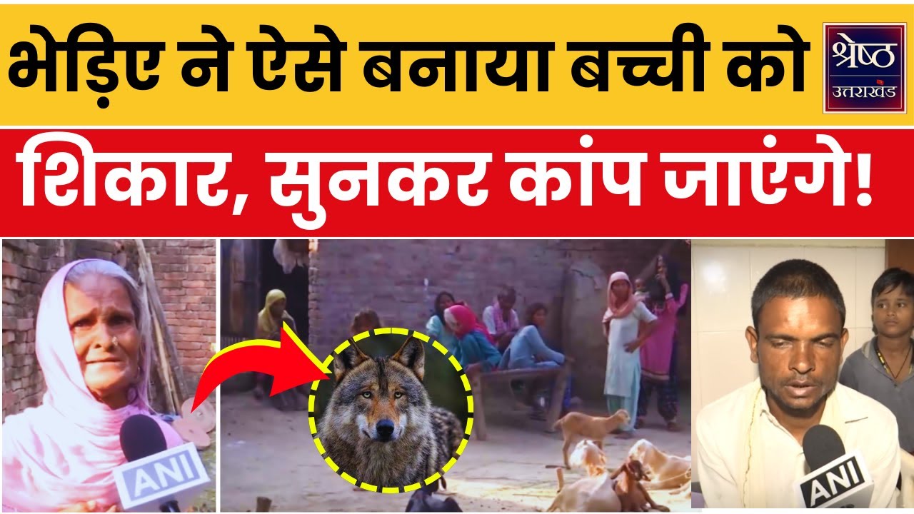 Wolf Attack: भेड़िए का शिकार बनी 5 साल की बच्ची, दादी ने सुनाई भेड़िए के हमले की पूरी कहानी
